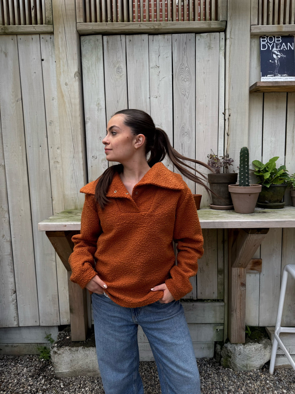 Haut brun à col rabattu - Alfi